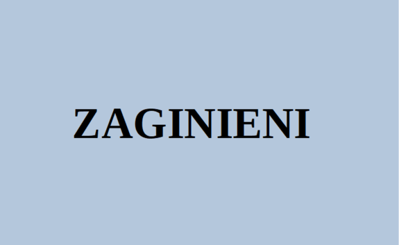 Read more about the article Poszukiwani zaginieni 