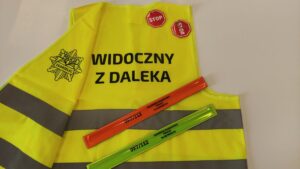 Read more about the article Noś odblaski – bądź widoczny dla kierowców!