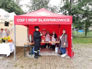 Read more about the article Piknik zdrowotny w Sławnikowicach